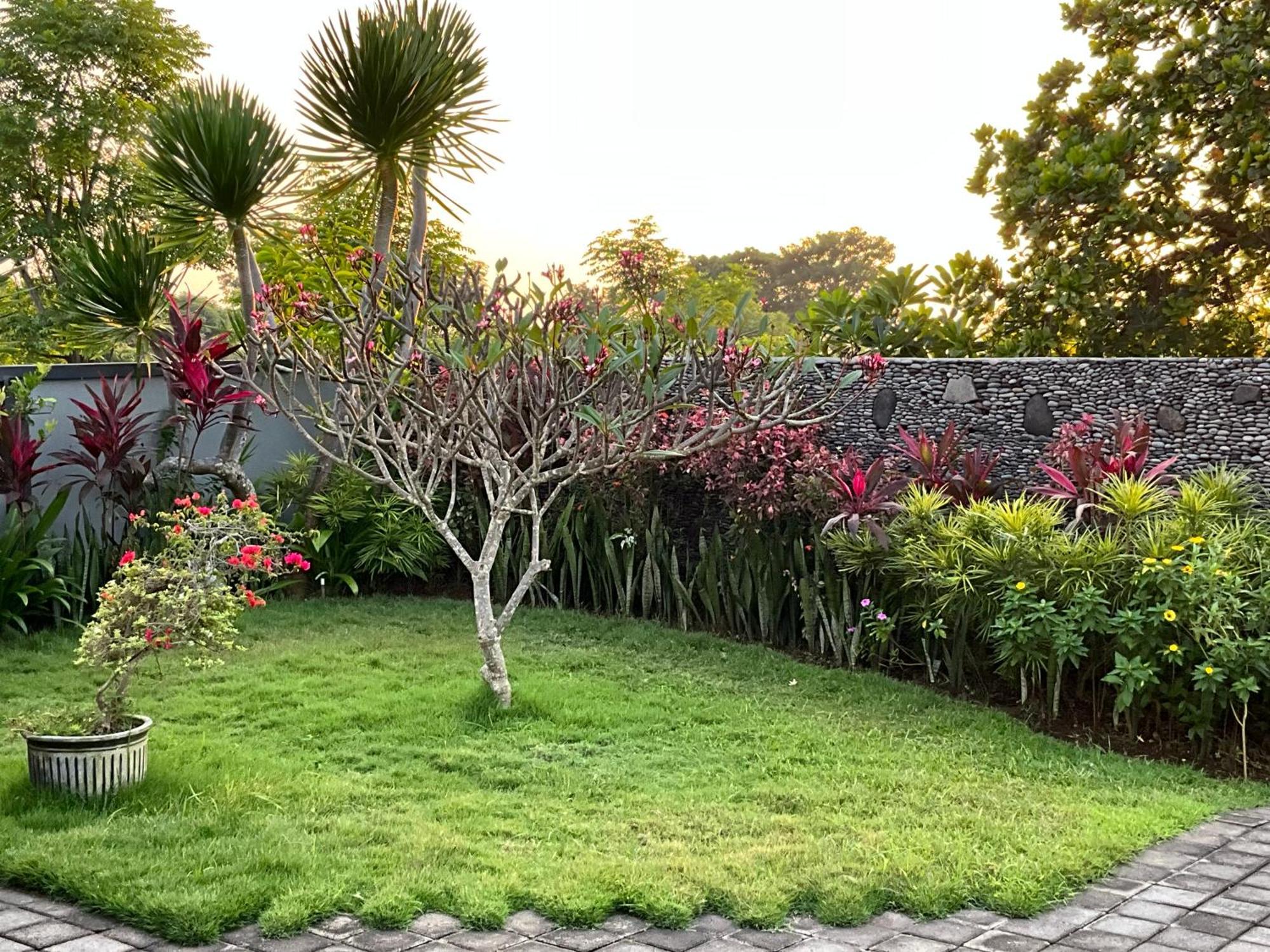 Villa Rosa East Bali Karangasem  Luaran gambar